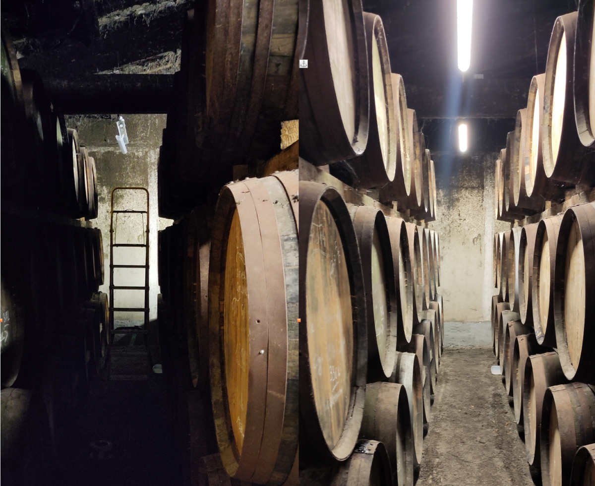  Mise en valeur d'un chai